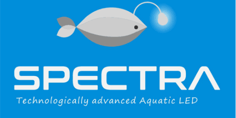 Spectra