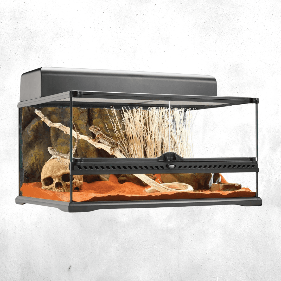 Exo Terra Natural Terrarium Medium Low