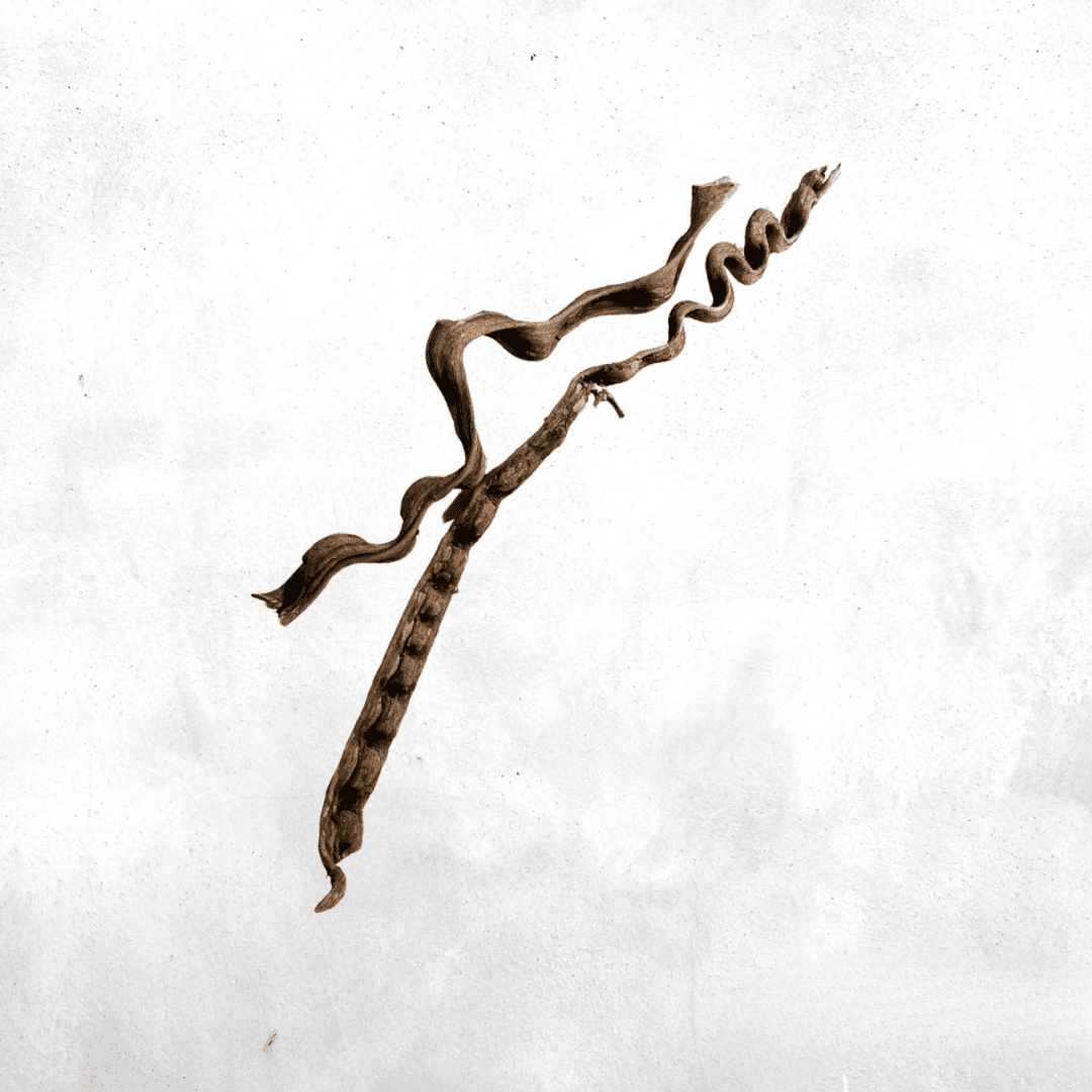 Trinil Frankenstein Wood