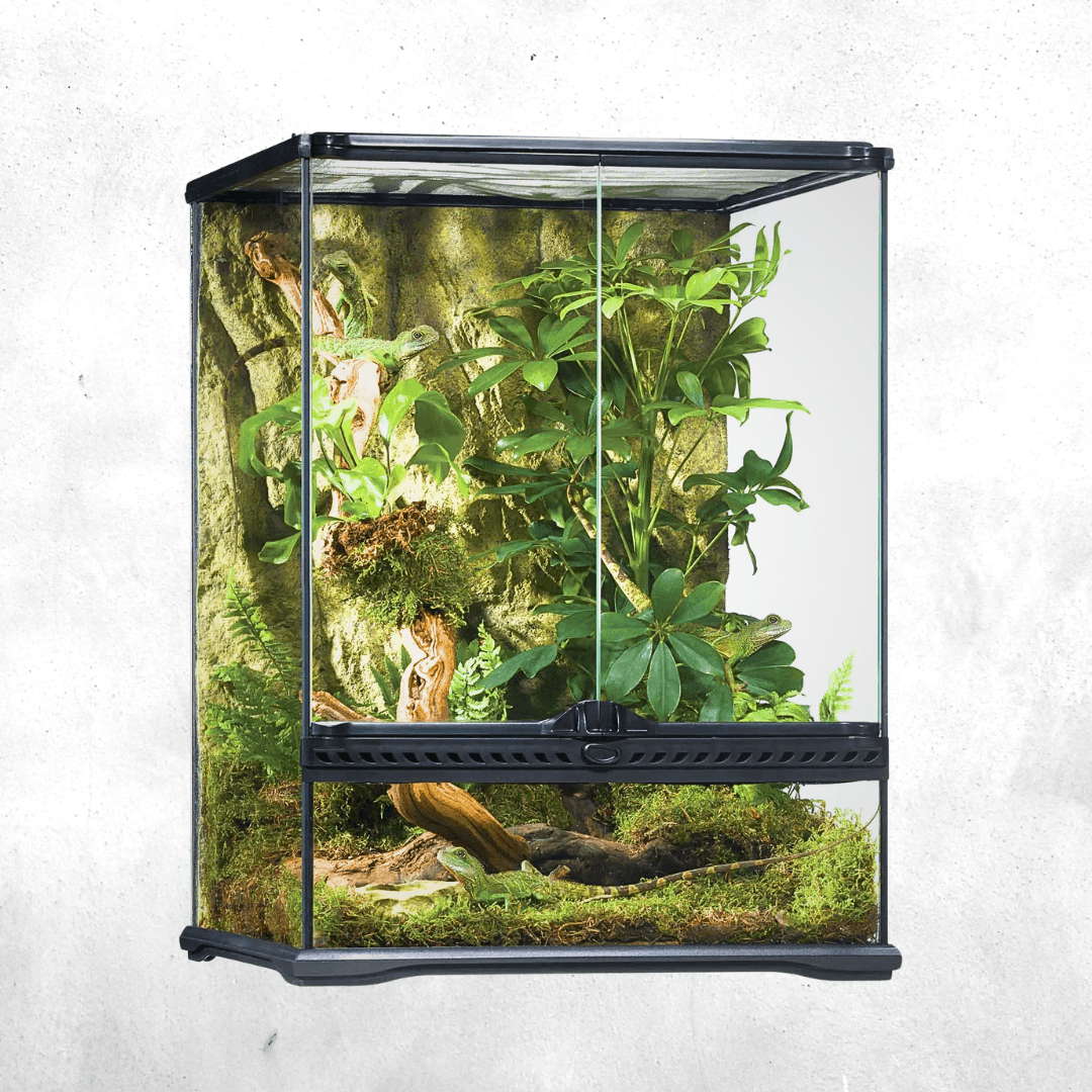 Exo Terra Natural Terrarium Small Tall
