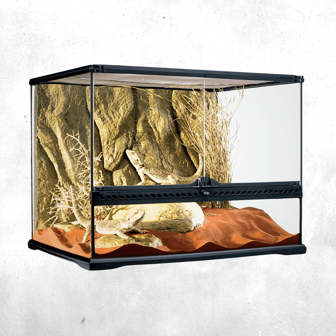 Exo Terra Natural Terrarium Medium Wide