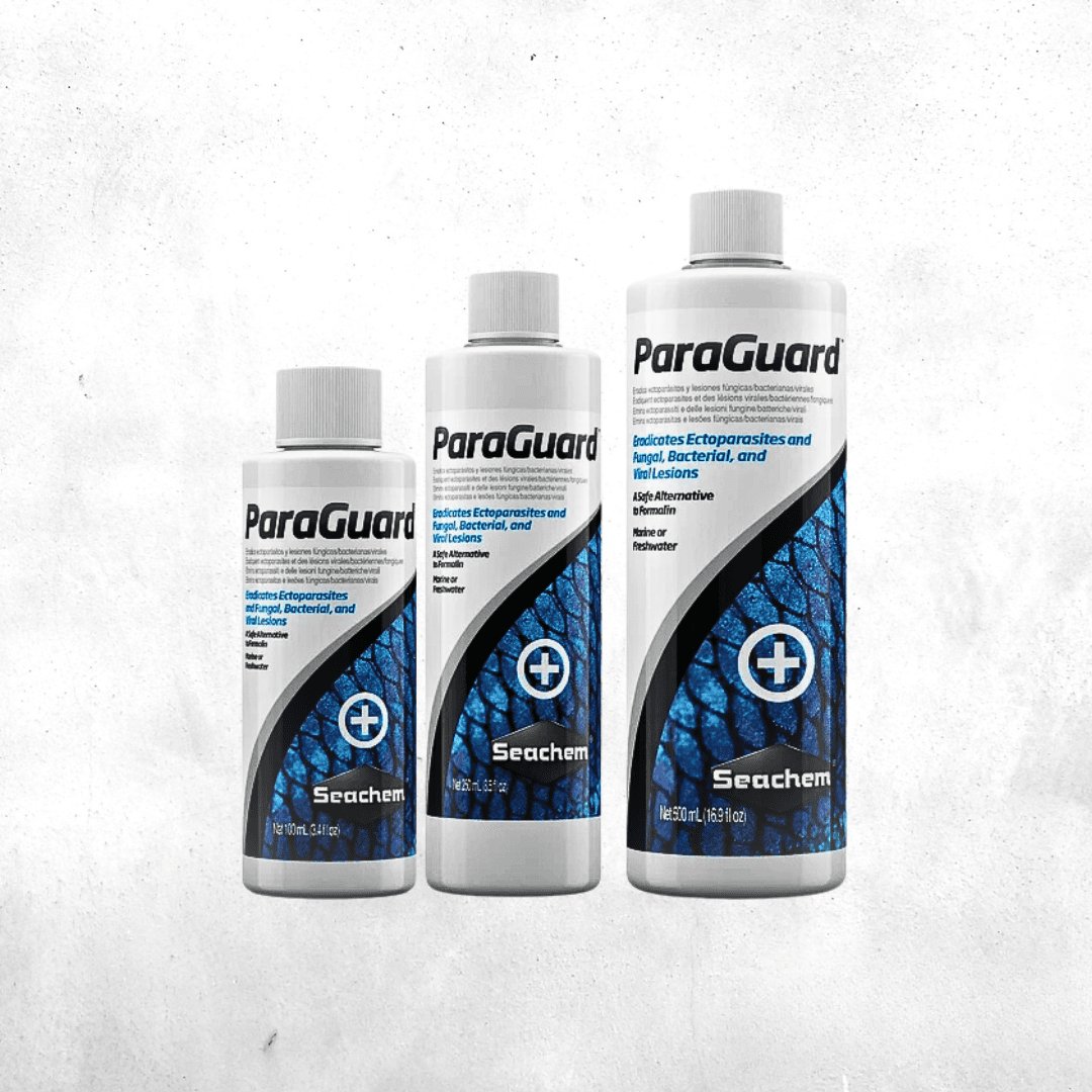 Seachem ParaGuard - Obat Parasit, Jamur, Bakteri dan Virus ikan