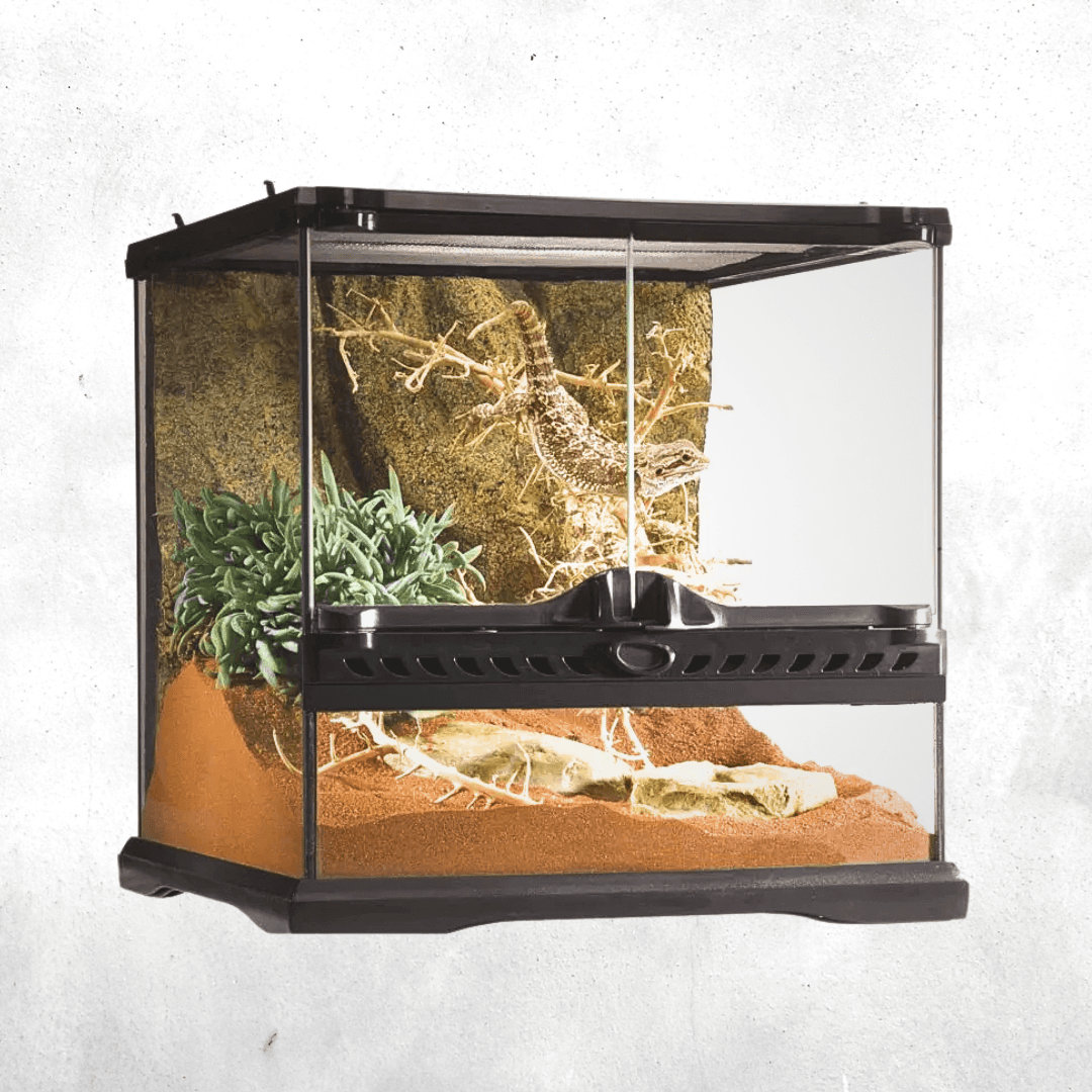 Exo Terra Natural Terrarium Mini Wide