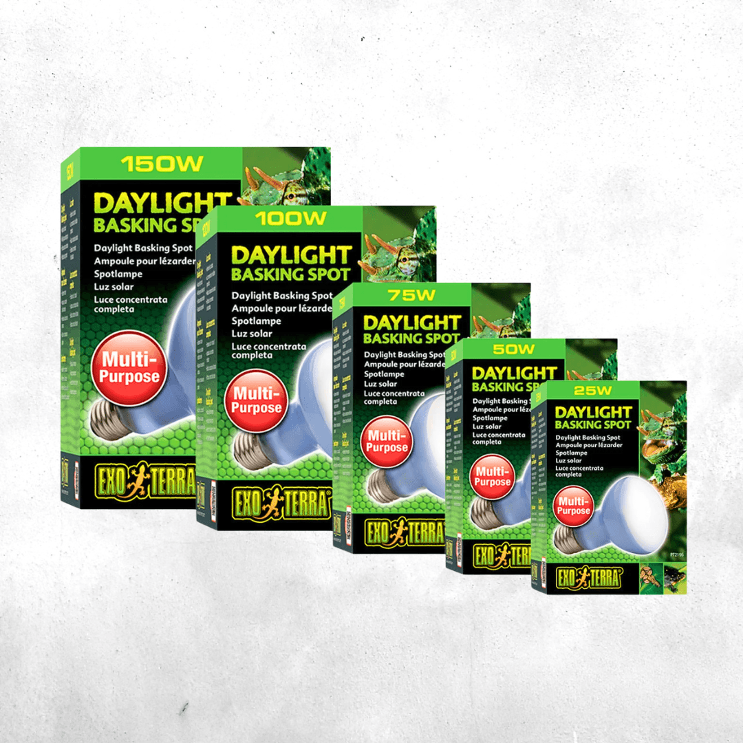 Exo Terra Day light Basking Spot Lamp