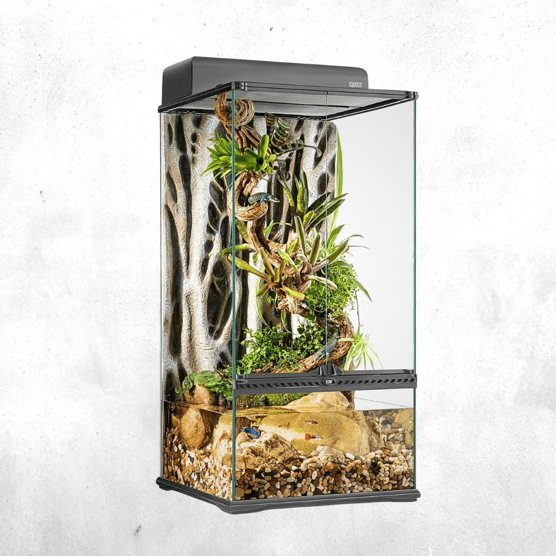 Exo Terra Natural Terrarium Small X-Tall
