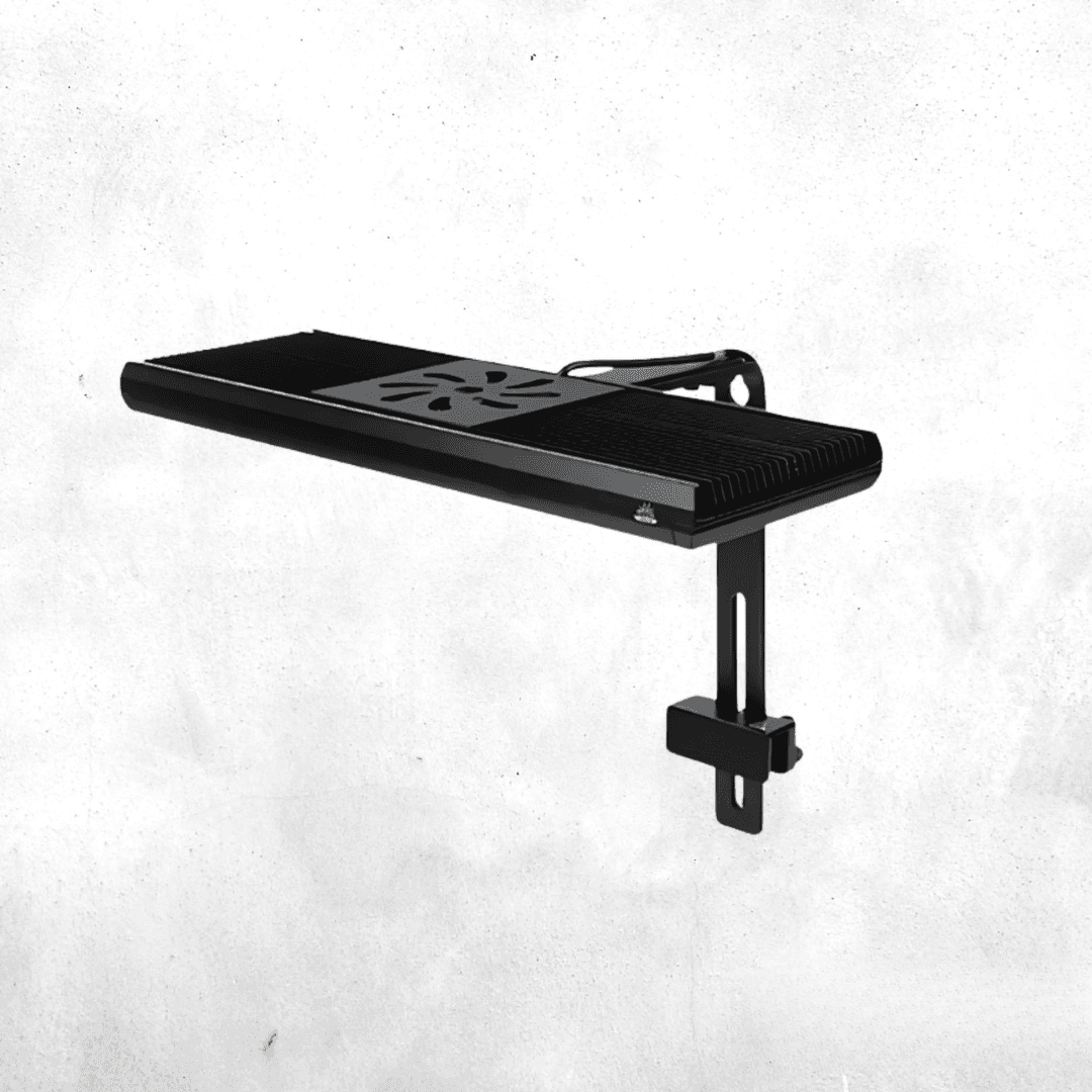 Week Aqua Z400 SEA Z