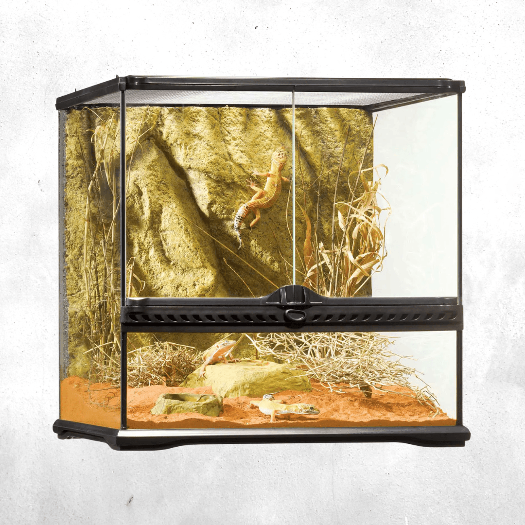 Exo Terra Natural Terrarium Small Wide