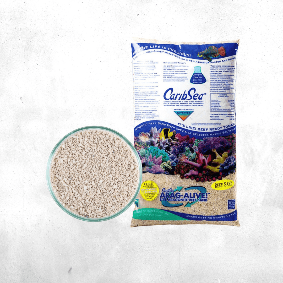 CaribSea Arag Alive Special Grade Live Sand - 10 Kg