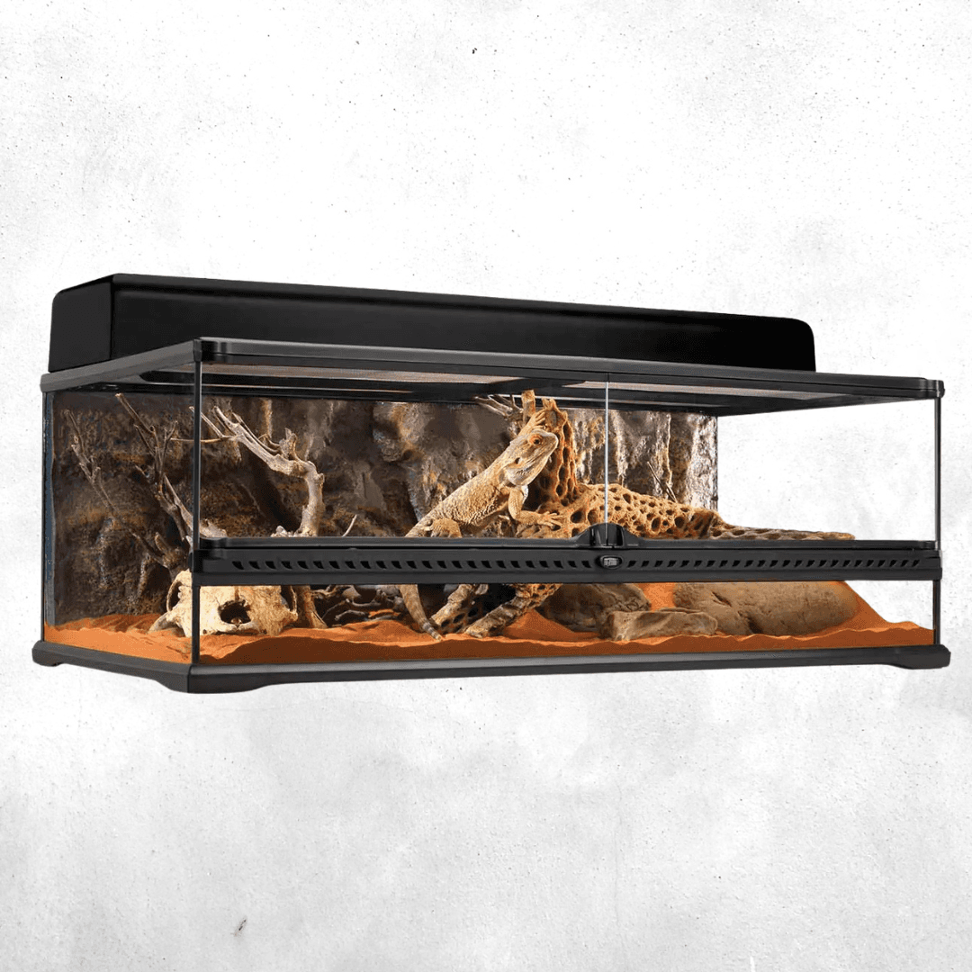 Exo Terra Natural Terrarium Large Low