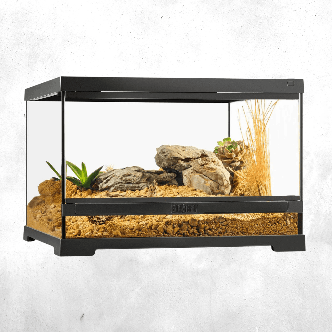 Exo Terra Pro Terrarium 45 x 45 x 30 Cm