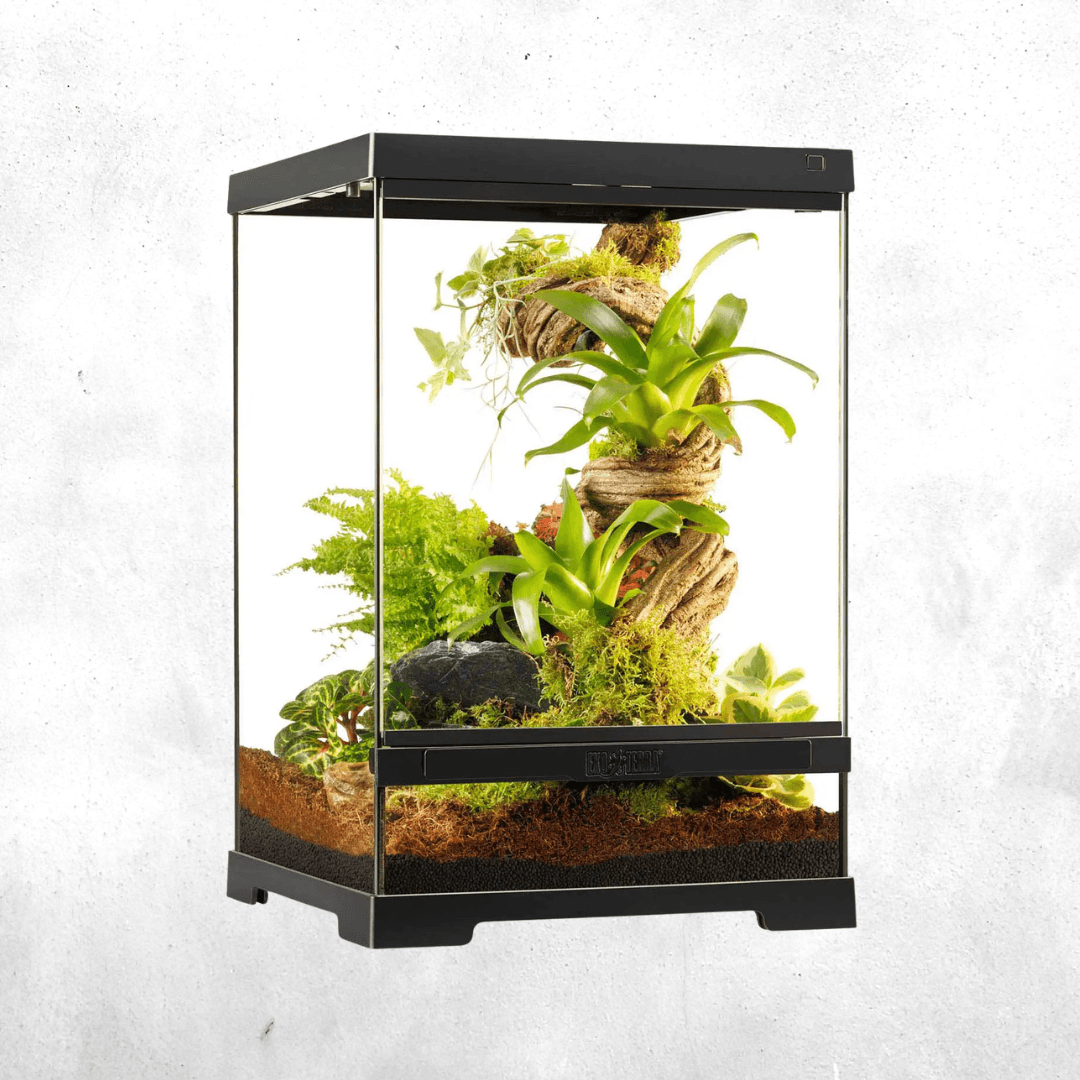 Exo Terra Pro Terrarium 30 x 30 x 45 Cm