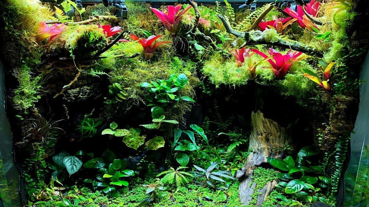 kandang bioaktif, salah satu syarat memelihara hewan dengan benar